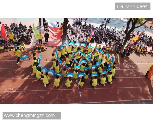 专访黄芳：探寻网球界的成功秘诀与奋斗历程