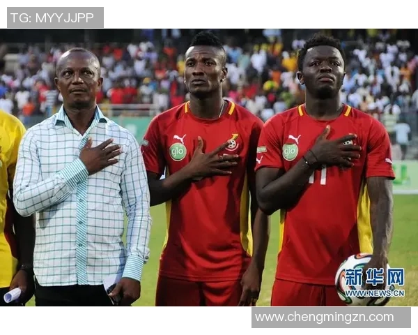 杭州排球队的世界杯征程与突破历程全景回顾